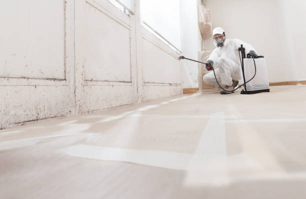 Black mold remediation team in Butler